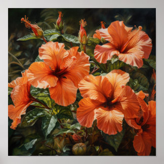 Orange Hibisken Blume Art Print Poster