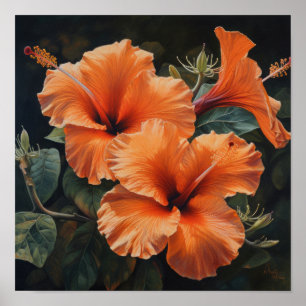 Orange Hibisken Blume Art Print Poster