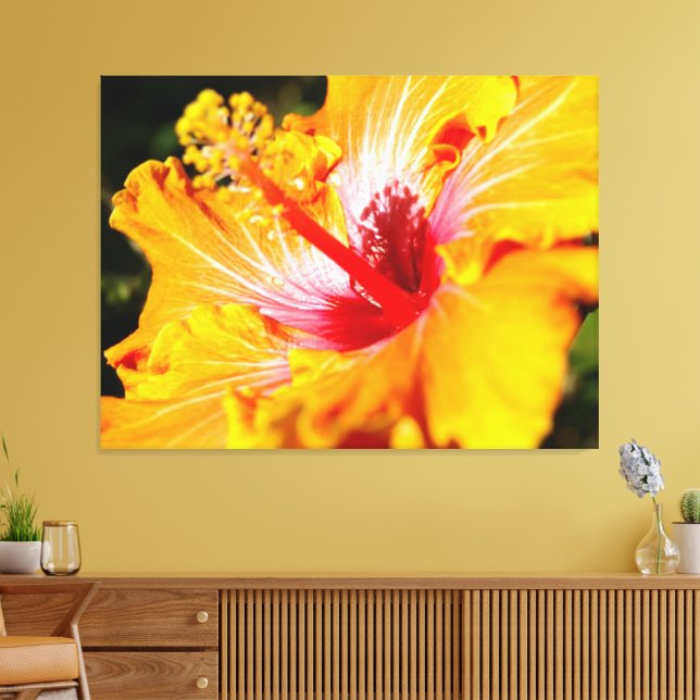 Orange Hibisken Blume Seitenansicht Leinwanddruck (Insitu (Wohnzimmer))