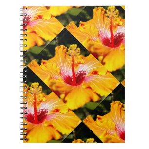 Orange Hibisken Blume Seitenansicht Notizblock