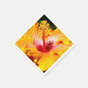Orange Hibisken Blume Seitenansicht Serviette