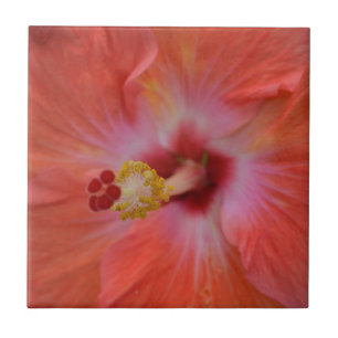 Orange Hibisken Keramik Tile Fliese