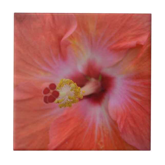 Orange Hibisken Keramik Tile Fliese (Vorderseite)