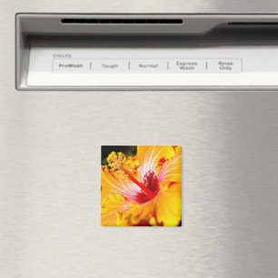 Orange Hibisken Side View Magnet