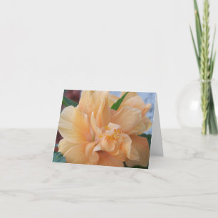 Orange Hibiskus Blume auf einer Dankeschön-Karte Dankeskarte