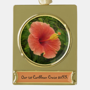 Orange Hibiskus Blume Tropenflora Banner-Ornament Gold