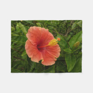 Orange Hibiskus Blume Tropenflora Fleecedecke