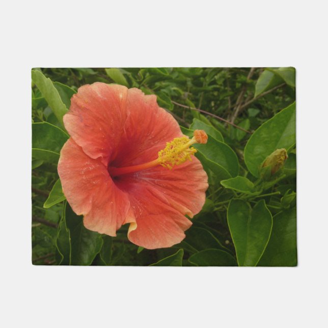 Orange Hibiskus Blume Tropenflora Fußmatte (Vorderseite)