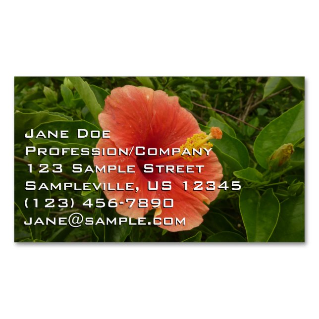 Orange Hibiskus Blume Tropenflora Magnetische Visitenkarte (Vorderseite)