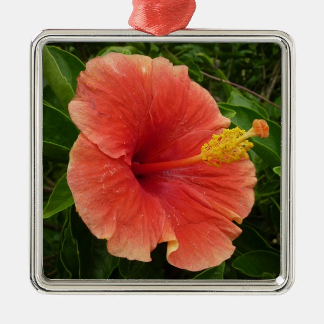 Orange Hibiskus Blume Tropenflora Ornament Aus Metall (Vorne)
