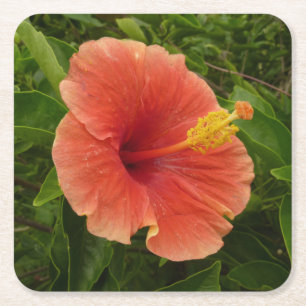 Orange Hibiskus Blume Tropenflora Rechteckiger Pappuntersetzer