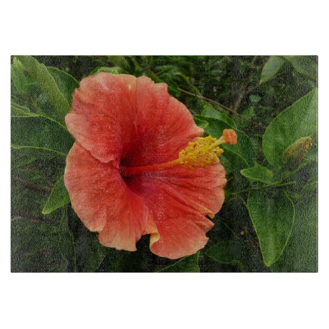 Orange Hibiskus Blume Tropenflora Schneidebrett (Vorderseite)