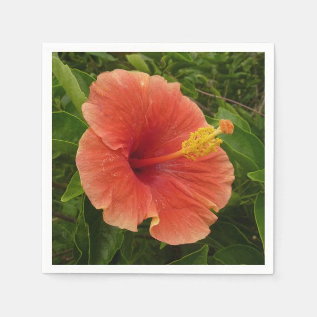 Orange Hibiskus Blume Tropenflora Serviette (Vorderseite)