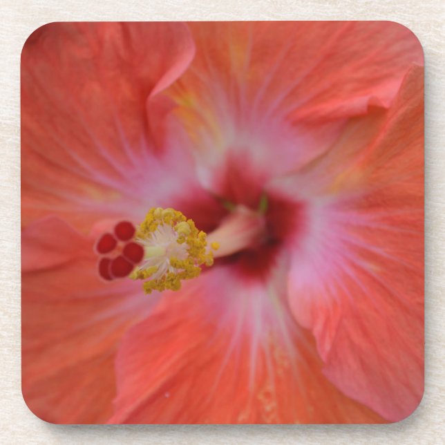Orange Hibiskus Cork Untersetzer (Vorderseite)