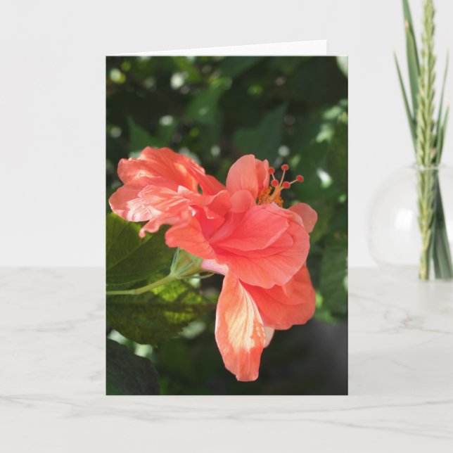 Orange Hibiskus-Gruß-Karte Karte (Vorderseite)