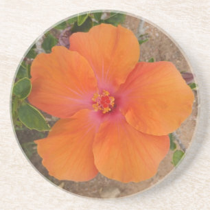 Orange Hibiskus Untersetzer
