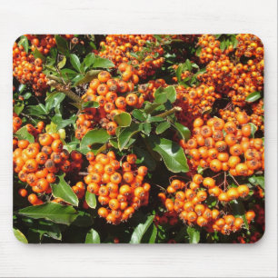 Orange Holly Berries Mousepad