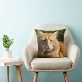Orange House Cat Kissen