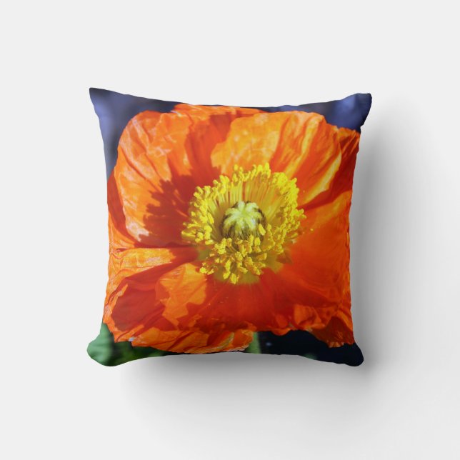 Orange Icelandic Poppy Fotografie Kissen (Vorderseite)