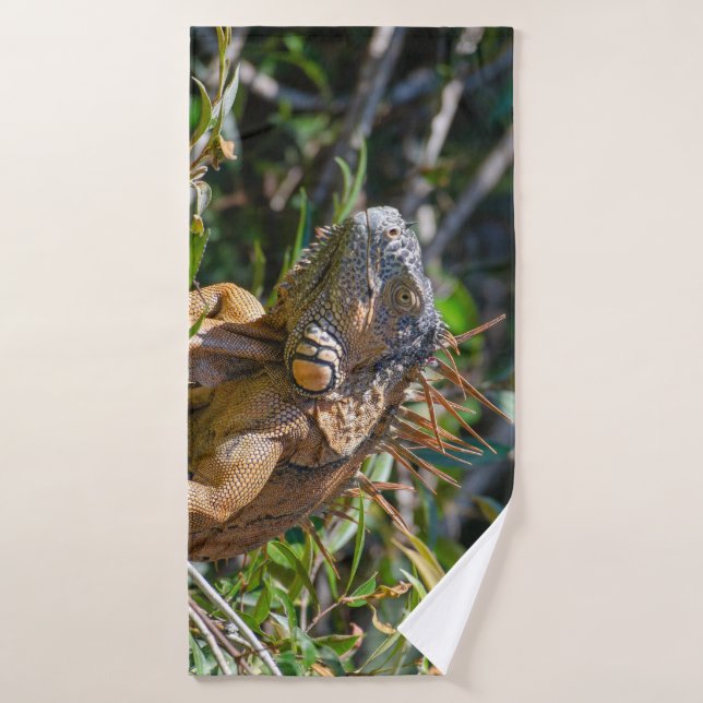 Orange Iguana, Belize Fotografie Badhandtuch Set (Badehandtuch)