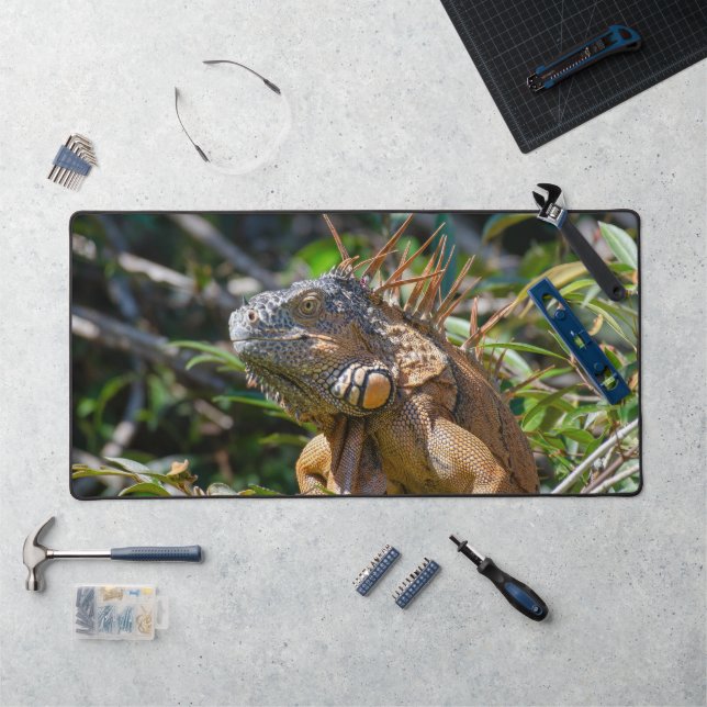Orange Iguana, Wildlife Lizard Fotografie Schreibtischunterlage (Arbeitsplatz)