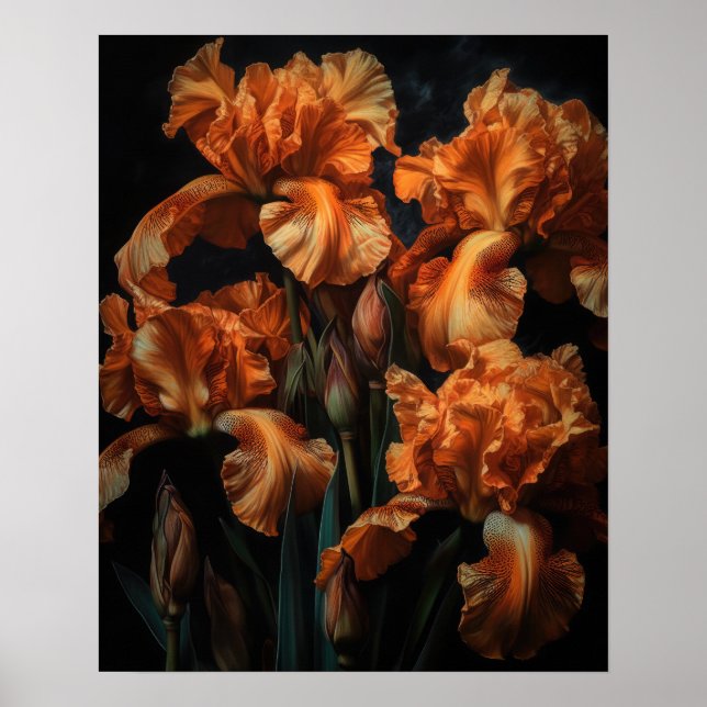 Orange Iris Blume Art Print Poster (Vorne)