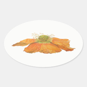 Orange isländische Mohnblumen-ovale Aufkleber, Ovaler Aufkleber