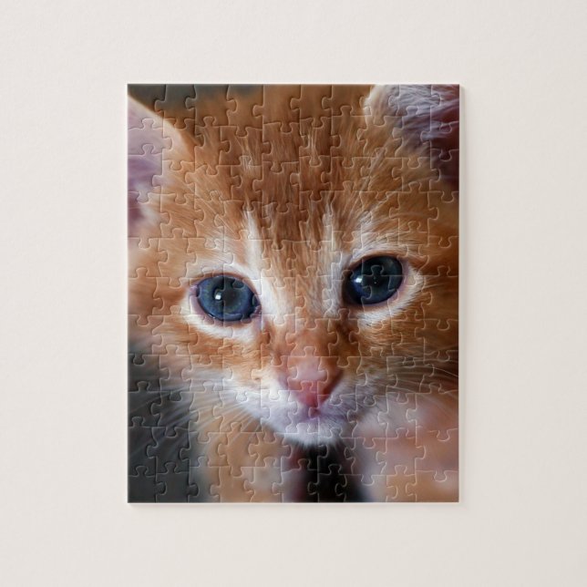 Orange ist die neue Katze (Vertikal)