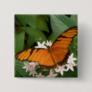 Orange Julia Butterfly Button