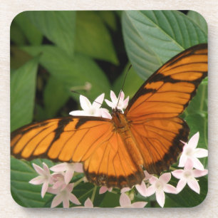 Orange Julia Butterfly Cork Untersetzer
