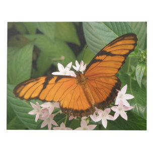 Orange Julia Butterfly Notepad Notizblock