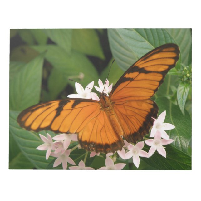 Orange Julia Butterfly Notepad Notizblock (Vorderseite)