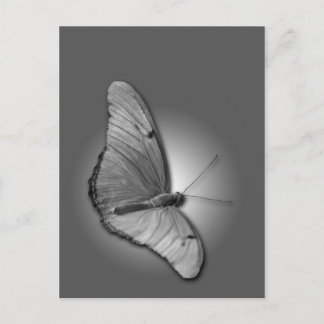 Orange Julia Postkarte