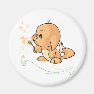 Orange Kacheek möchte auf einem Kronleuchter Magnet