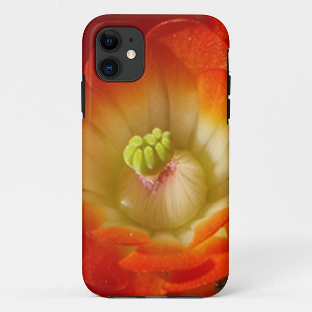 Orange Kaktus Blume iPhone Case (Rückseite)