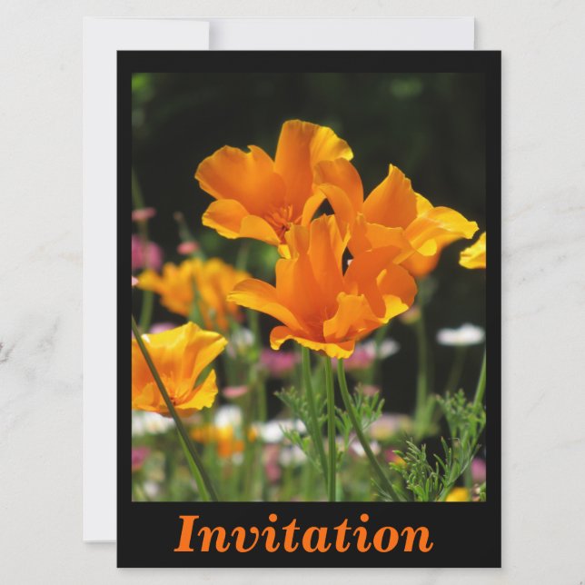 Orange Kalifornien-Mohnblumen Einladung (Vorderseite)