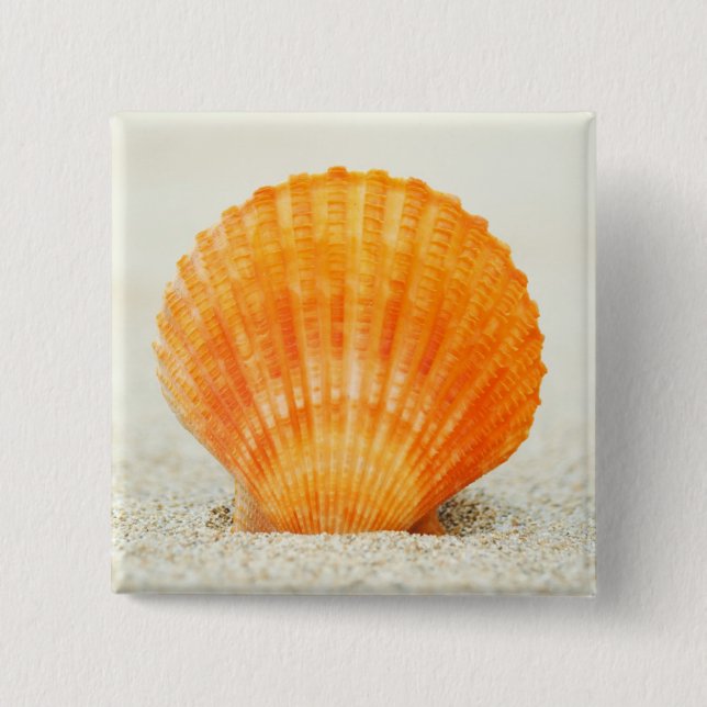 Orange Kamm-Muschel-Muschel-stehende Senkrechte im Button (Vorderseite)