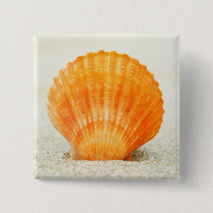 Orange Kamm-Muschel-Muschel-stehende Senkrechte im Button