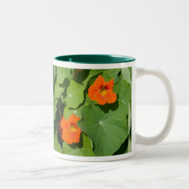 Orange Kapuzinerkäse-Tasse Zweifarbige Tasse