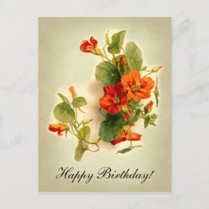 Orange Kapuzinerkresse Postkarte