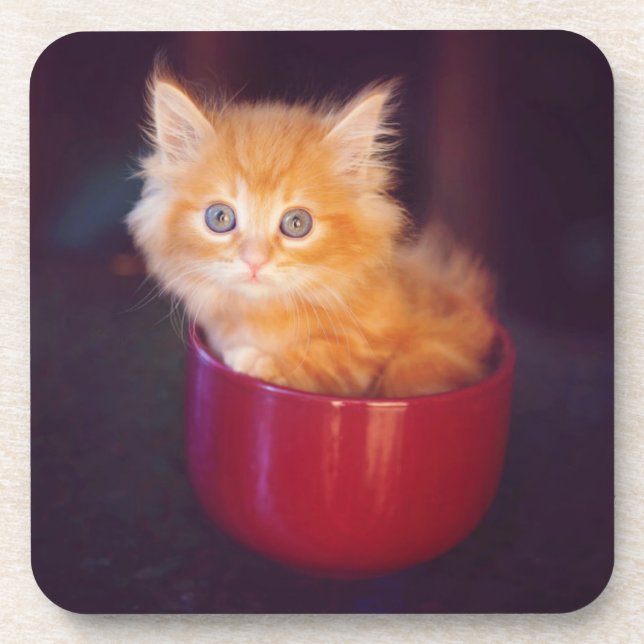 Orange Kätzchen in einer roten Tasse Untersetzer (Vorderseite)