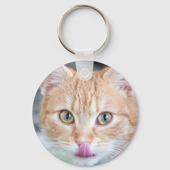 Orange-Kätzchen Schlüsselanhänger (Vorderseite)