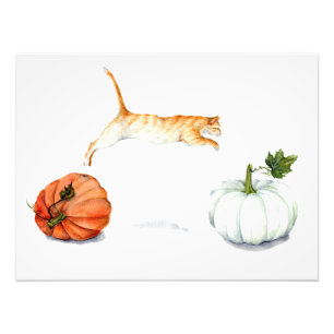 Orange Katze, die zwischen Kürbise springt Fotodruck
