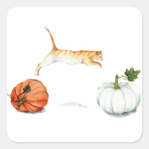 Orange Katze, die zwischen Kürbise springt Quadratischer Aufkleber