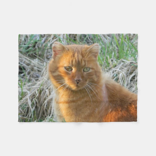 orange Katze Fleecedecke (Vorderseite (Horizontal))