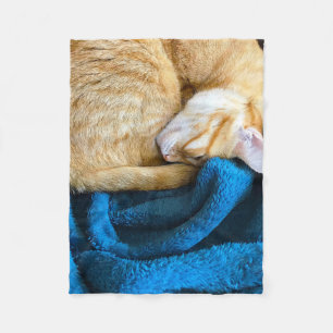 Orange Katze gekräuselt oben auf Decke