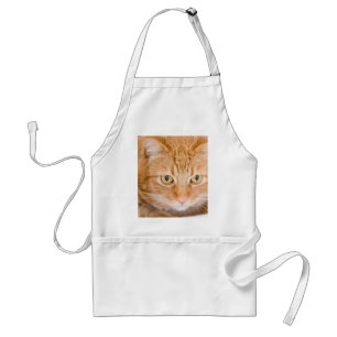 Orange Katze Schürze