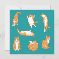 Orange Katzen Lustiger Geburtstag