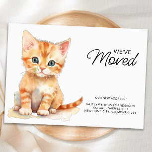 Orange Kitten Cat Moving New Zuhause we ve Moved Ankündigungspostkarte