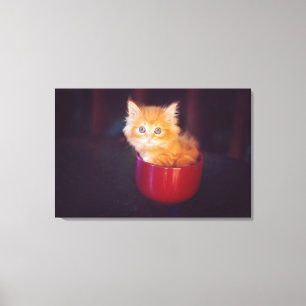 Orange Kitten in roter Tasse Leinwanddruck